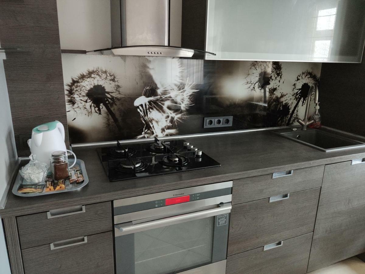 Nikoletos Apartamentai Panevėžys Buitenkant foto
