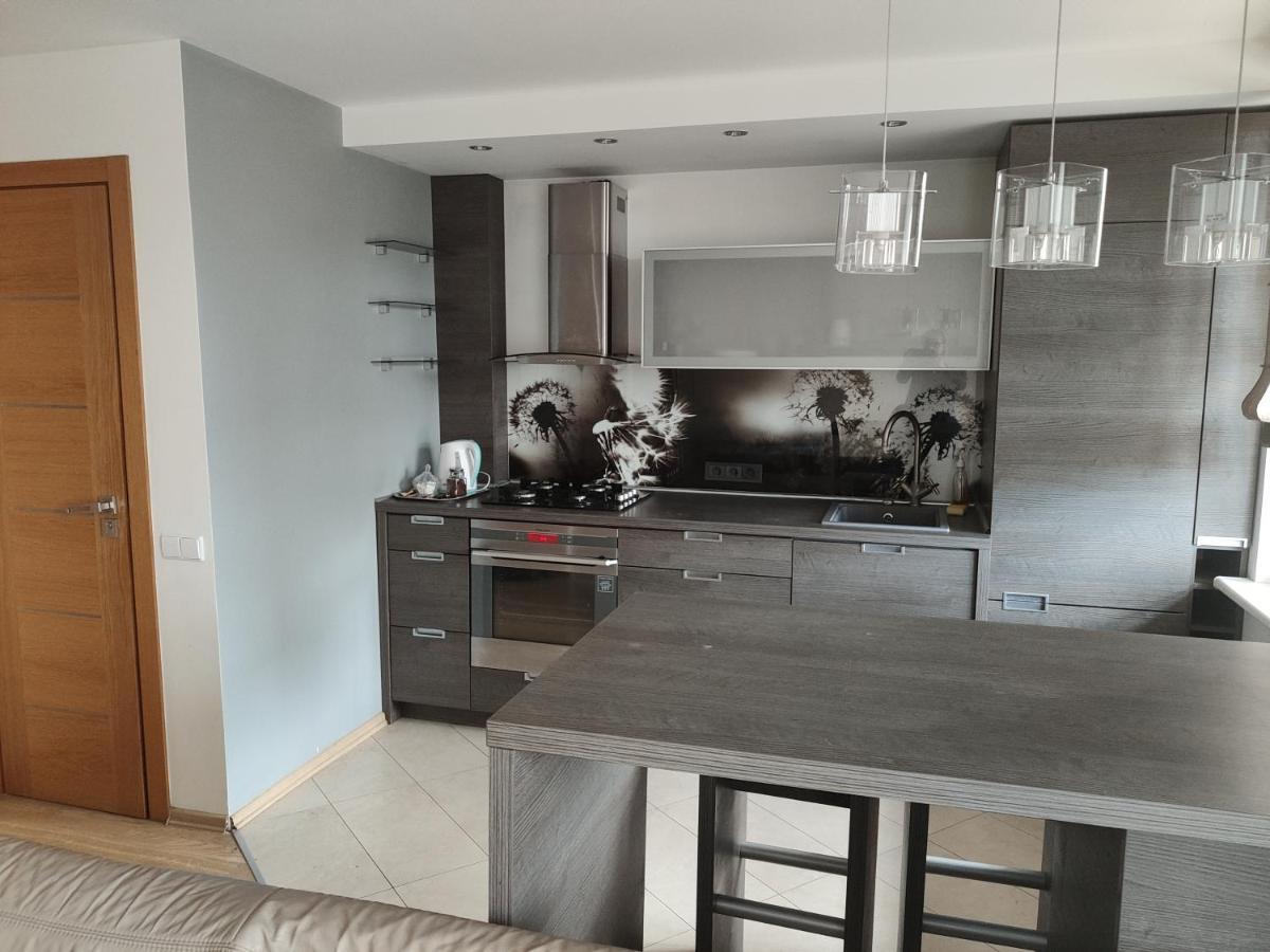 Nikoletos Apartamentai Panevėžys Buitenkant foto